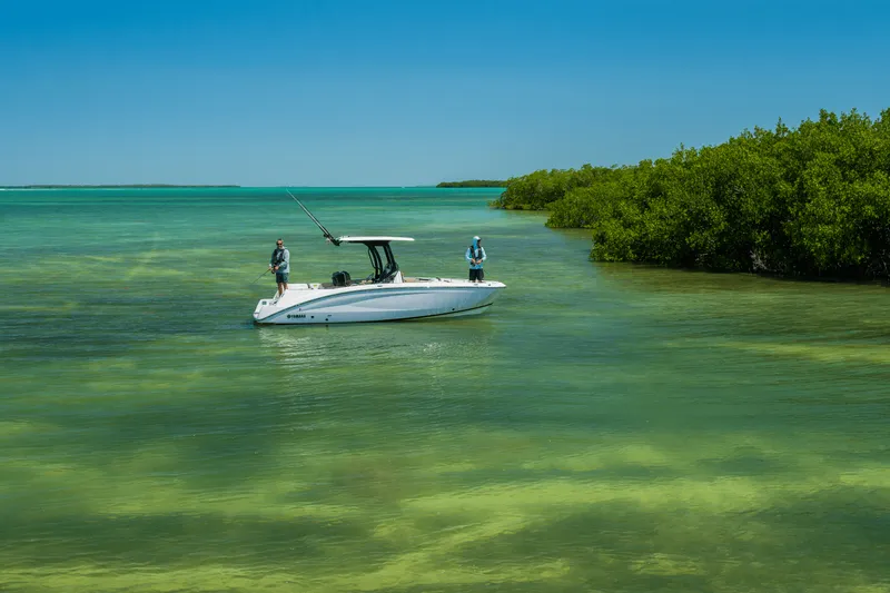 Slide: The Image of Yamaha 255 FSH Sport H 2025 - 52