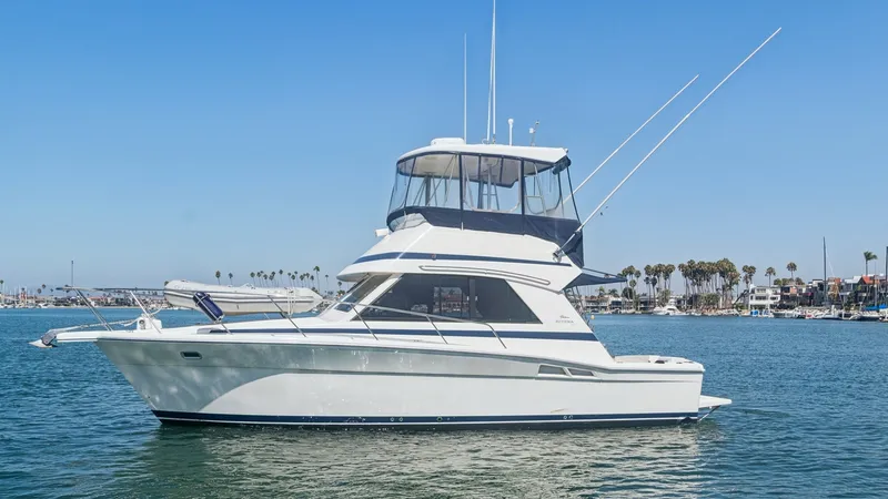 The Image of Starboard Profile with Flybridge The 1998 Riviera Convertible 'FOREVER YOUNG' is showcased in a serene starboard view, highlighting its sleek lines and robust design. The flybridge is prominently featured, offering panoramic views and equipped with a robust antenna setup, ideal for navig - 8308129