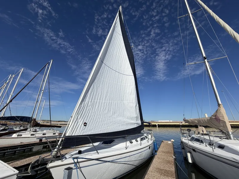 Slide: The Image of Catalina36 48 Sails Up - 8313745