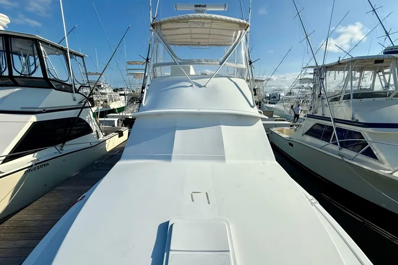 Slide: The Image of Bertram 35 Flybridge 1979 - 8317063