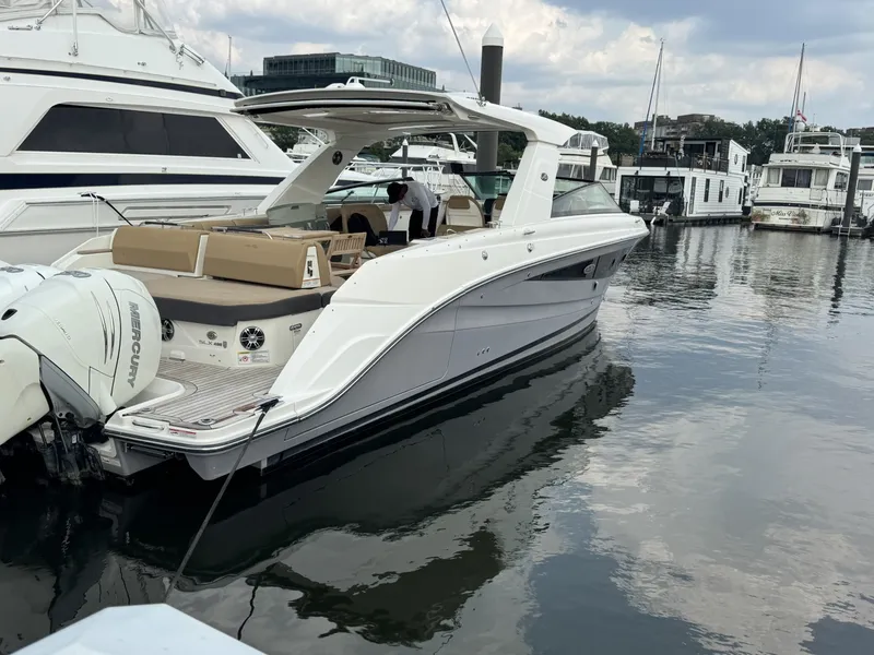 The Image of Sea Ray 40 2019 - 8330041