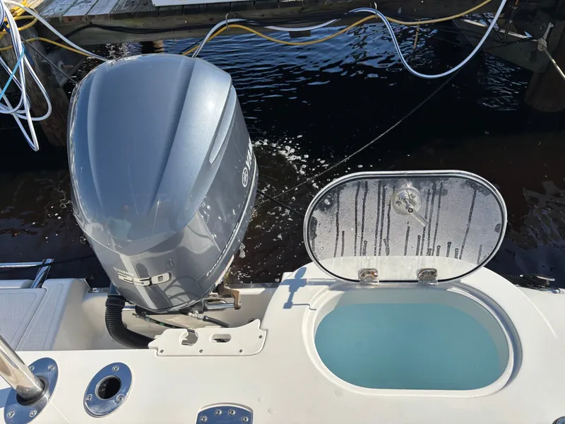 Slide: The Image of Sailfish 24 2018 - 8330933