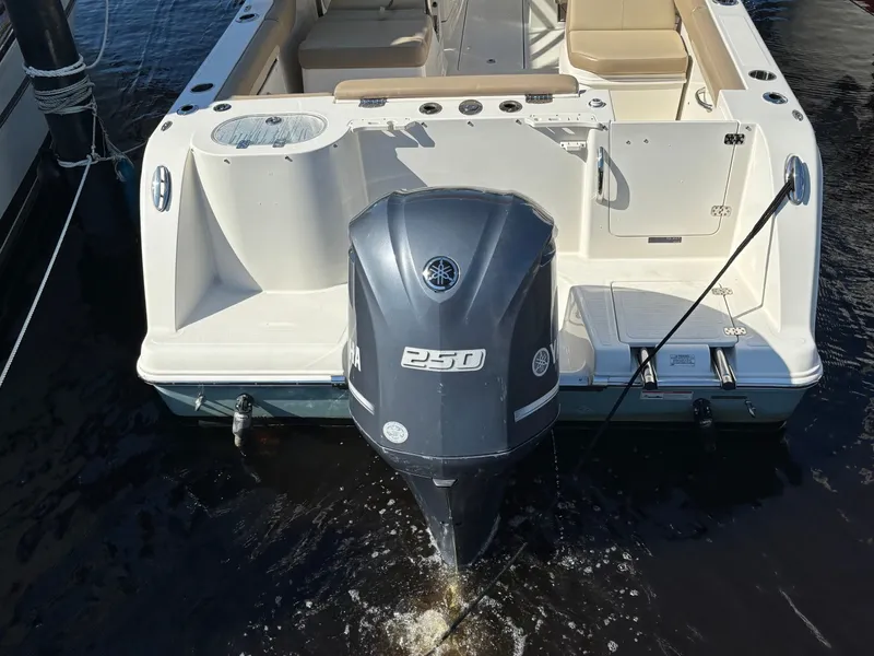 Slide: The Image of Sailfish 24 2018 - 8330918