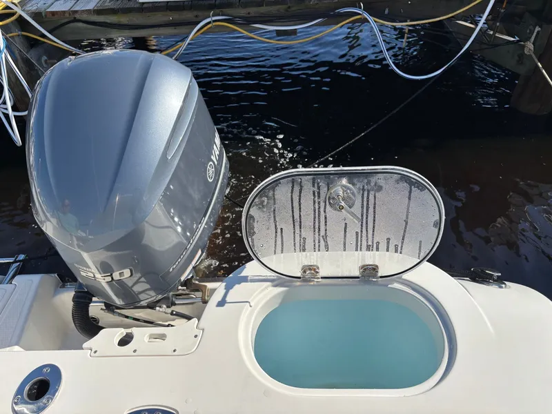 Slide: The Image of Sailfish 24 2018 - 8330975