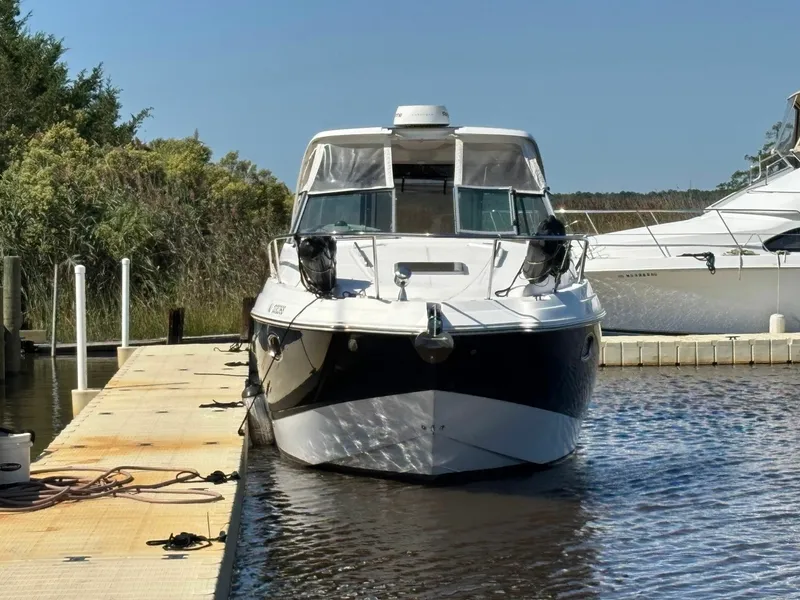 Slide: The Image of Chaparral 31 2018 - 8331222
