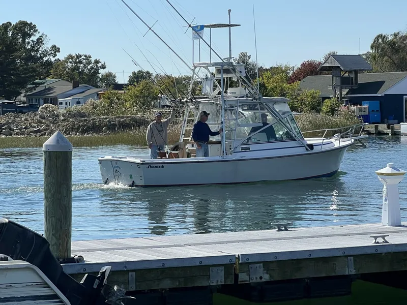 Slide: The Image of 26' shamrock starboard aft profile1 - 8724075
