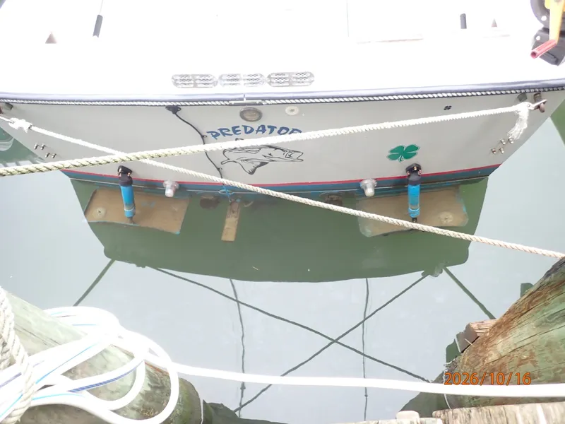 Slide: The Image of 26' Shamrock transom - 8438043