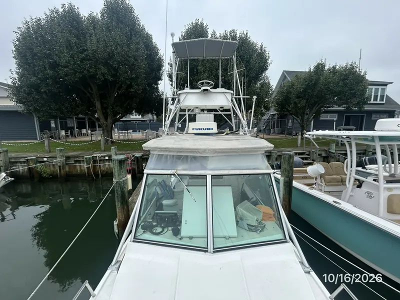 Slide: The Image of 26' Shamrock foredeck aft - 8438021