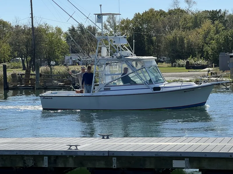 The Image of 26' Shamrock starboard profile - 8724076