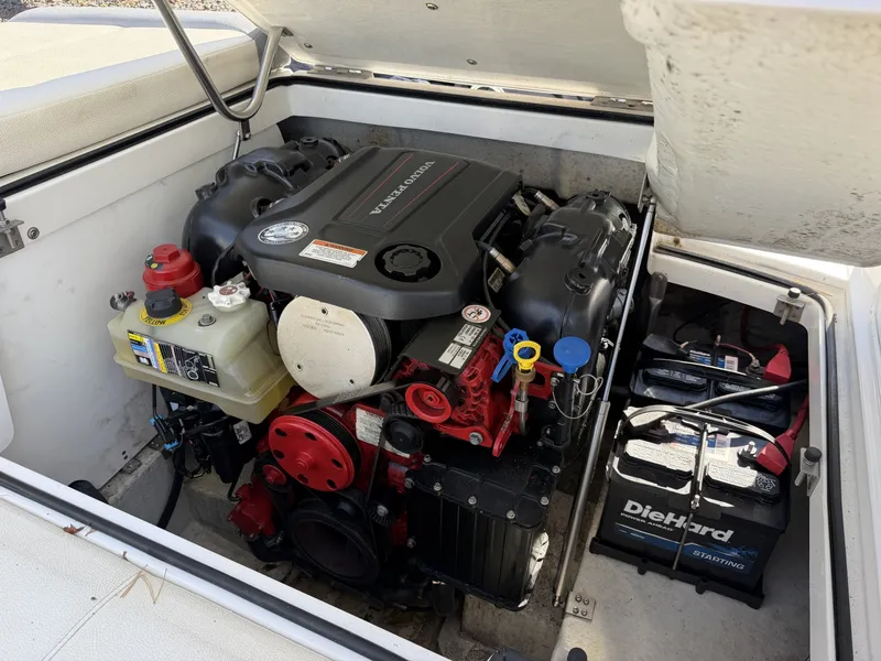 Slide: The Image of Cobalt 220S 2018 - 8438098