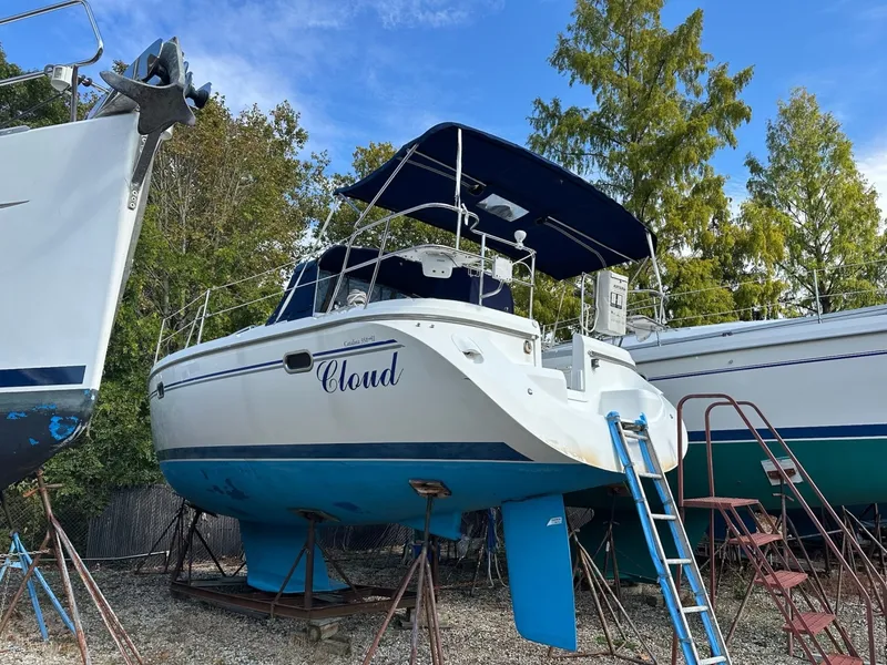 The Image of Catalina 350 mkII 2008 - 8503602