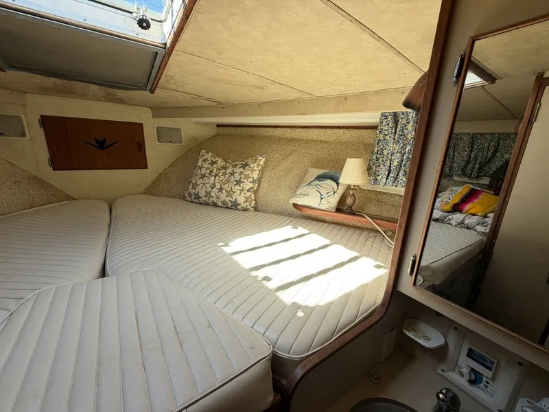 Slide: The Image of Bertram 38 III Convertible 1982 - 8504681