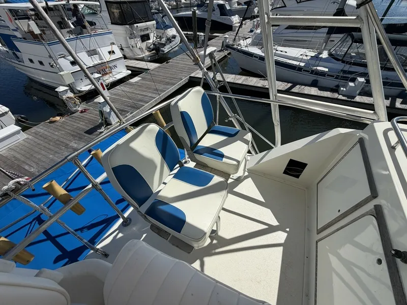 Slide: The Image of Bertram 38 III Convertible 1982 - 8504691