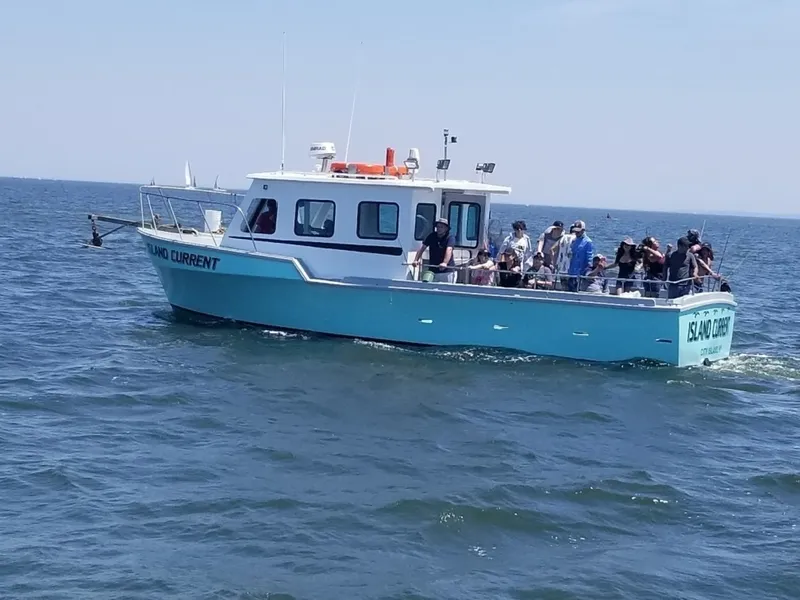 The Image of Custom 36 Commercial Charter Boat 1984 - 8599659