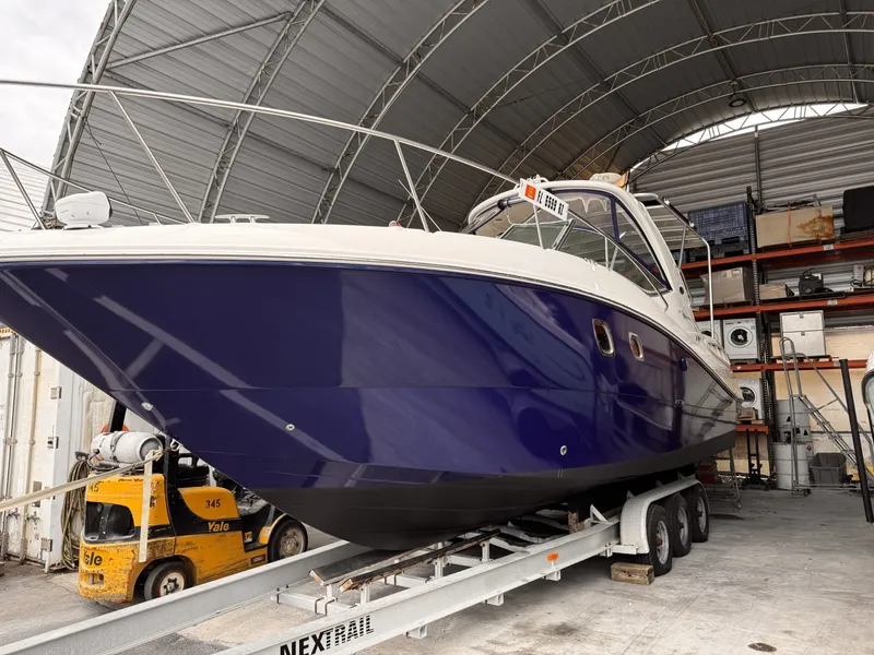 Slide: The Image of Sea Ray 310 2008 - 8604515