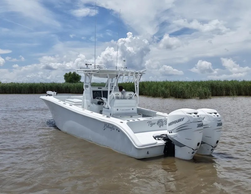 Slide: The Image of Yellowfin 32 2016 - 8603339