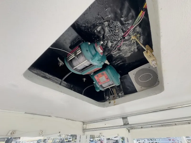 Slide: The Image of 0006015877 - 8604261