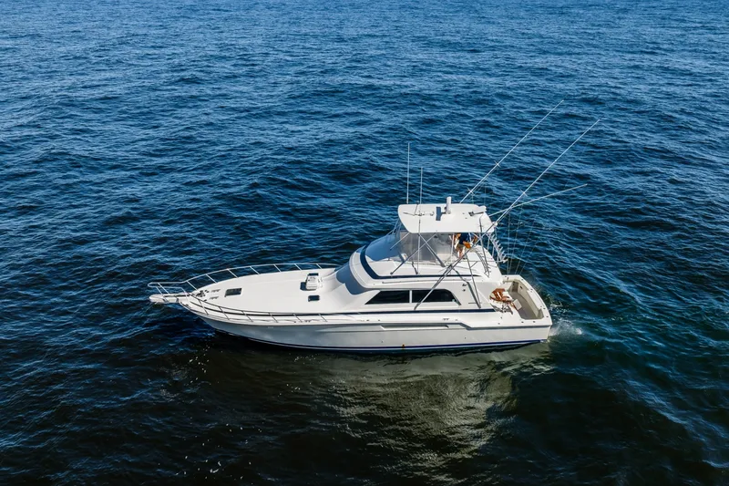 Slide: The Image of Bertram 54 Convertible 1998 - 8668637