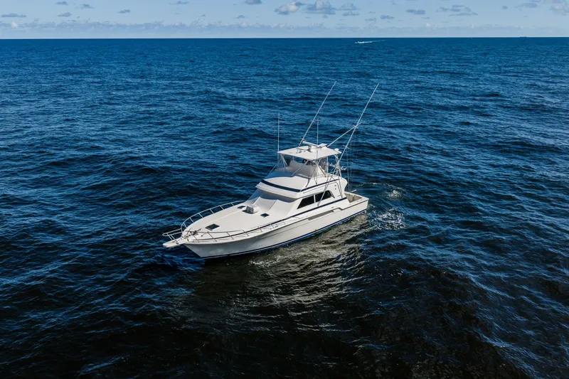 Slide: The Image of Bertram 54 Convertible 1998 - 8668647