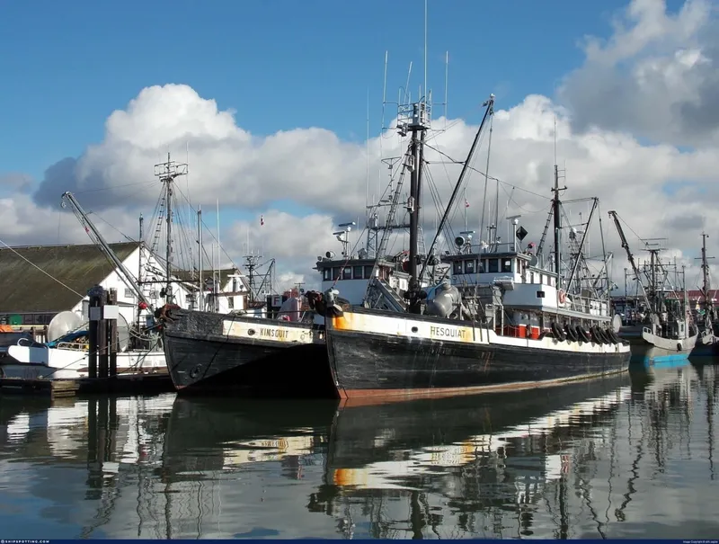 Slide: The Image of Newcastle 104 Commercial Freighter 1944 - 8700227