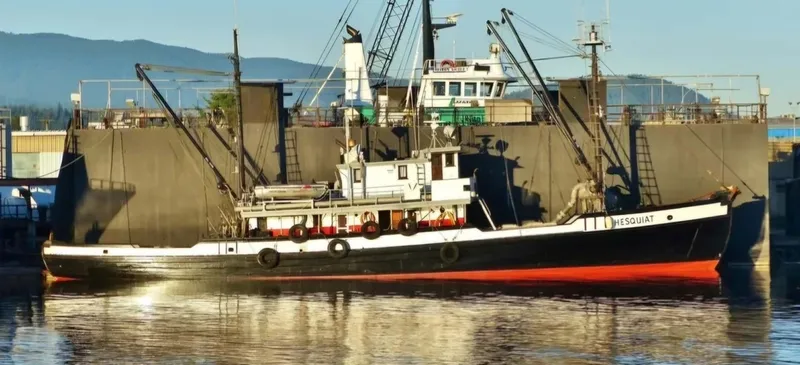Slide: The Image of Newcastle 104 Commercial Freighter 1944 - 8700228