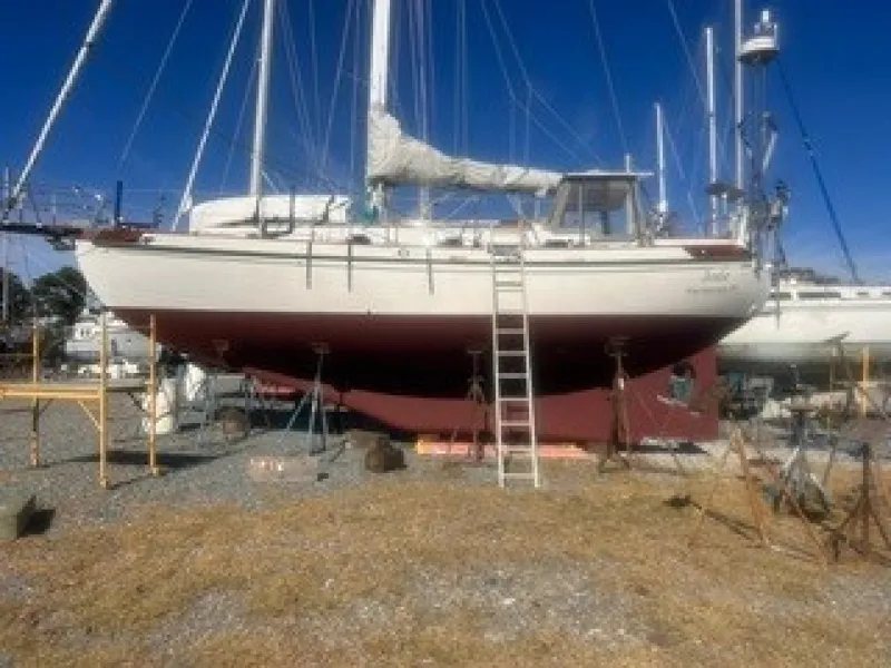 Slide: The Image of Tayana 37 1988 - 8730296