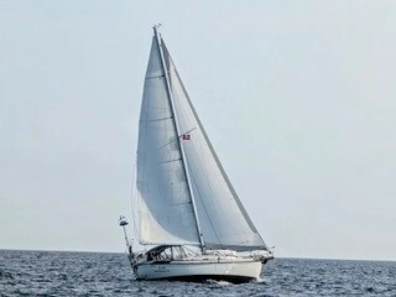 Slide: The Image of Tayana 37 1988 - 8730310