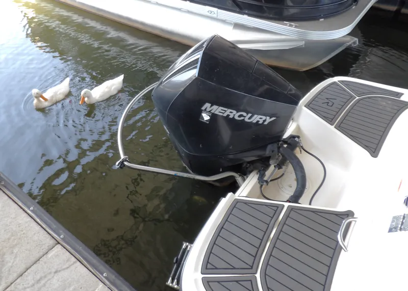 Slide: The Image of Bayliner VR6 Bowrider - Outboard 2023 - 5