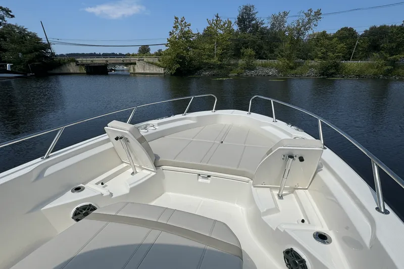 Slide: The Image of Boston Whaler 250 Dauntless 2025 - 10