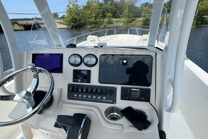 Slide: The Image of Boston Whaler 250 Dauntless 2025 - 14