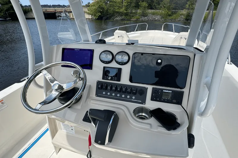 Slide: The Image of Boston Whaler 250 Dauntless 2025 - 15