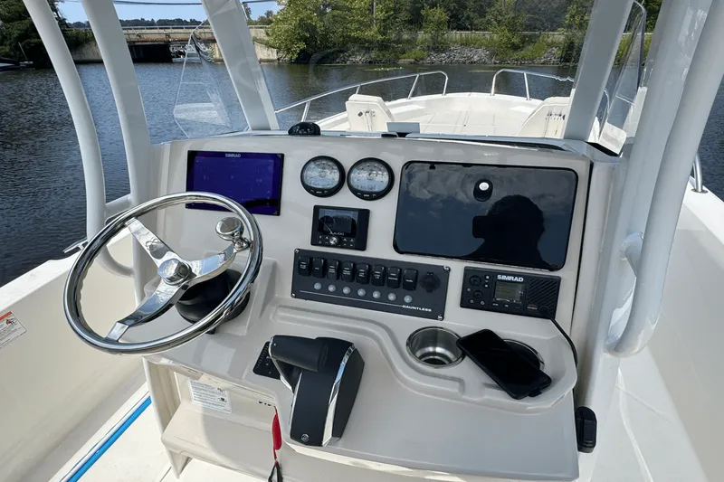 Slide: The Image of Boston Whaler 250 Dauntless 2025 - 16