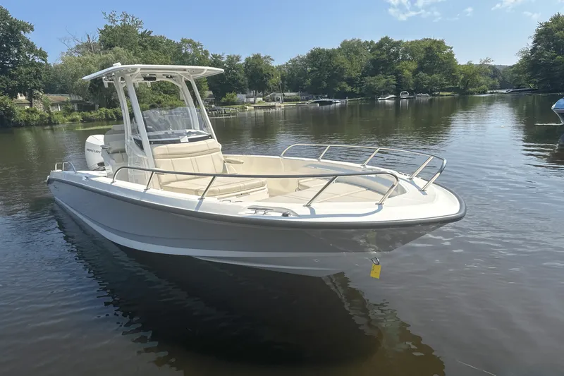 Slide: The Image of Boston Whaler 250 Dauntless 2025 - 5