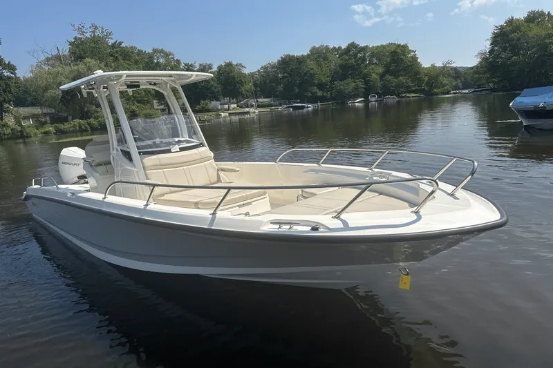 Slide: The Image of Boston Whaler 250 Dauntless 2025 - 6