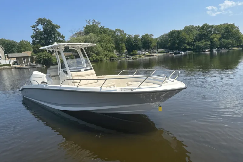 Slide: The Image of Boston Whaler 250 Dauntless 2025 - 8