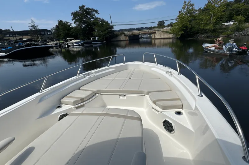 Slide: The Image of Boston Whaler 250 Dauntless 2025 - 9