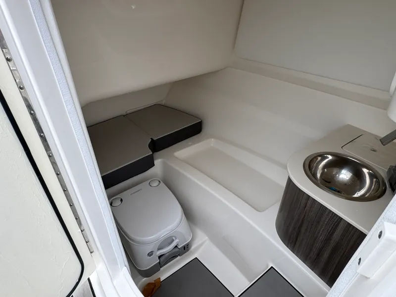 Slide: The Image of Sea Ray 250 SDX 2025 - 19