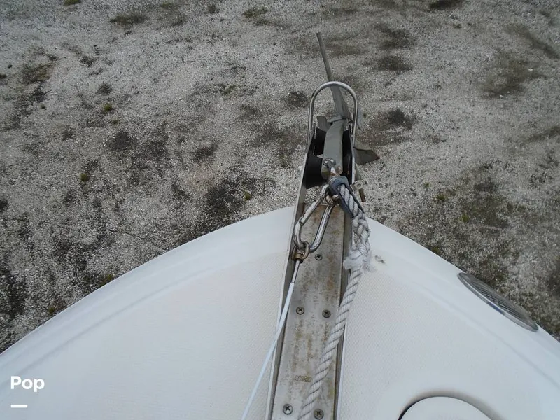 Slide: The Image of Sea Ray 260 Sundancer 2000 - 10651276