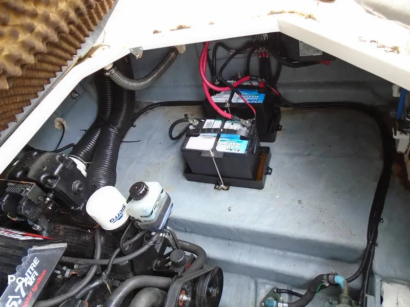 Slide: The Image of Sea Ray 260 Sundancer 2000 - 10651409