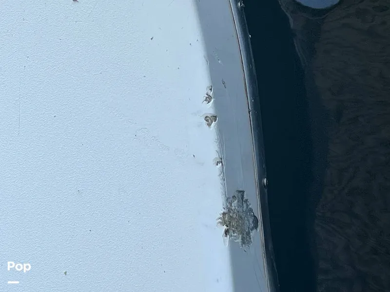 Slide: The Image of Swim Platform Chips - 15800640