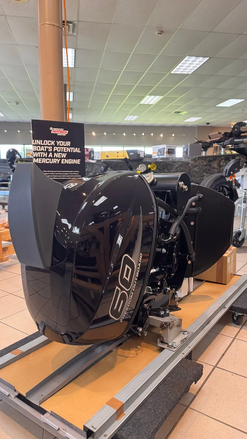 The Image of FREEDOM OUTBOARD MFS60AETL - 0