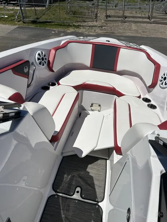 Slide: The Image of Scarab 255 ID 2019 - 6