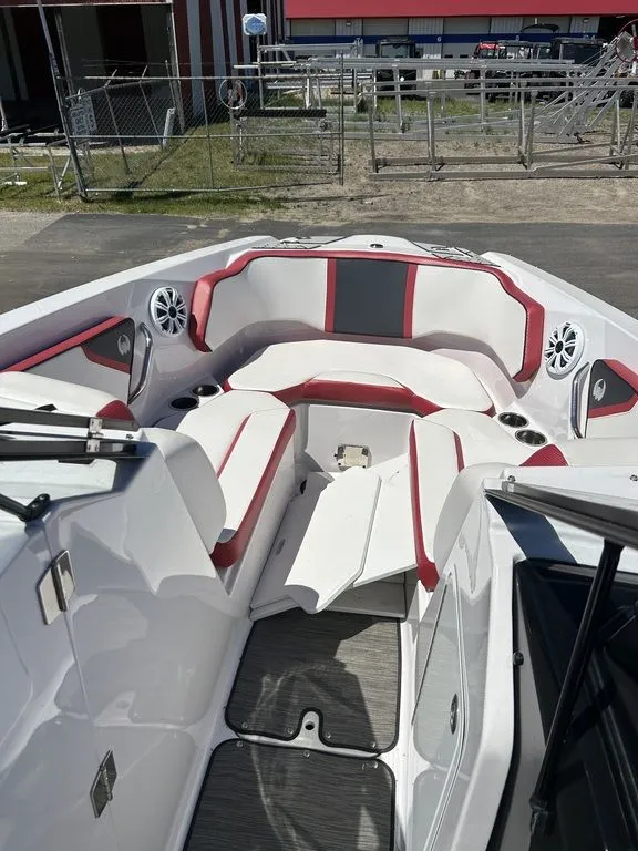 Slide: The Image of Scarab 255 ID 2019 - 7