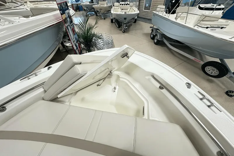 Slide: The Image of Boston Whaler 220 Dauntless 2025 - 14