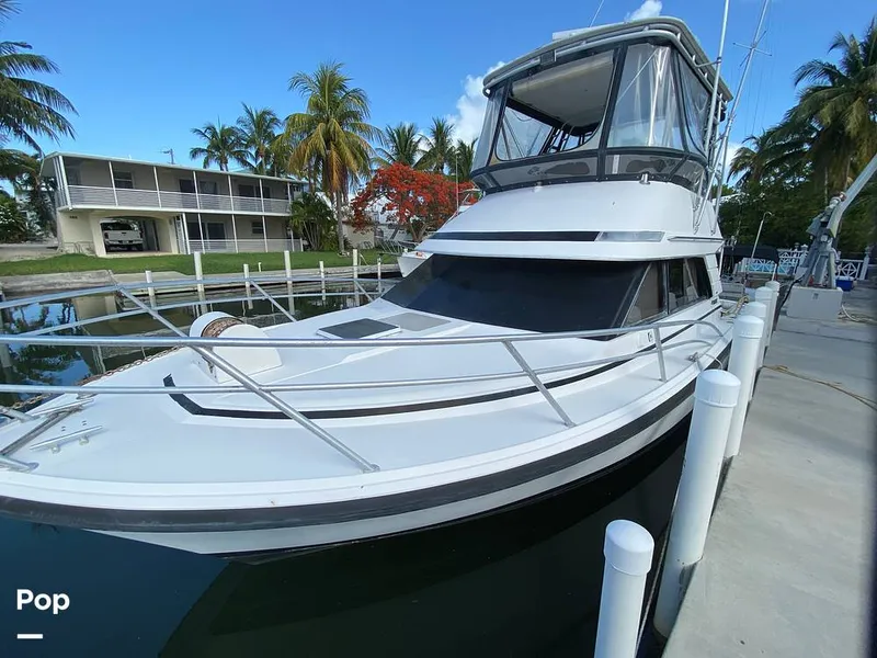 Slide: The Image of Phoenix Bass Boat 33 Sfx 1992 - 10749619