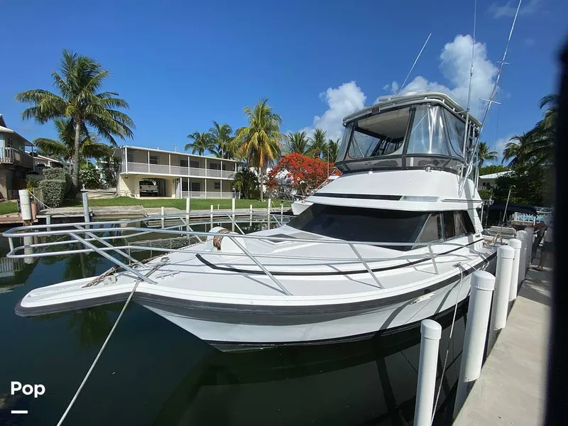 Slide: The Image of Phoenix Bass Boat 33 Sfx 1992 - 10749728