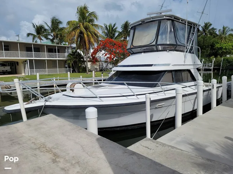 Slide: The Image of Phoenix Bass Boat 33 Sfx 1992 - 10749625