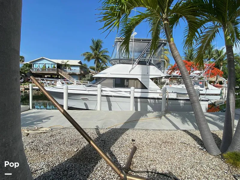 Slide: The Image of Phoenix Bass Boat 33 Sfx 1992 - 10749620