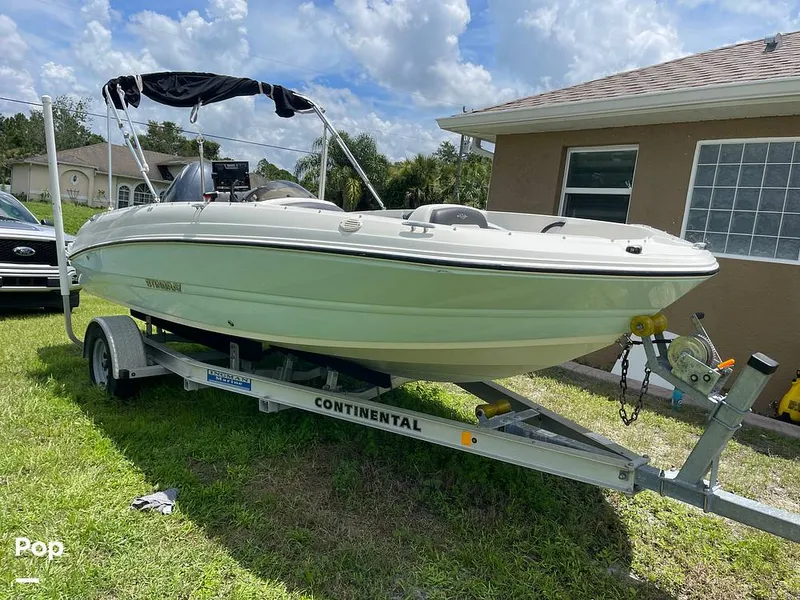 Slide: The Image of Stingray SC 182 2019 - 10970917