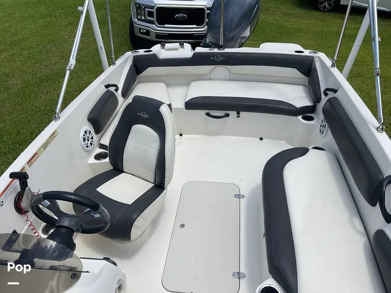 Slide: The Image of Stingray SC 182 2019 - 10970979